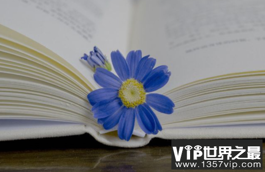 【抖音文案】三月温暖可爱的文爱   迎接三月的唯美句子