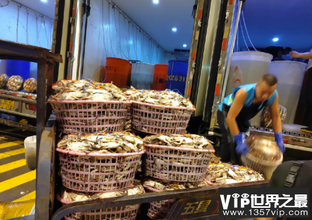 大闸蟹跌出白菜价是什么原因 大闸蟹应该如何挑选