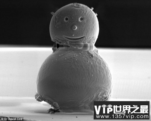 世界上最小的雪人