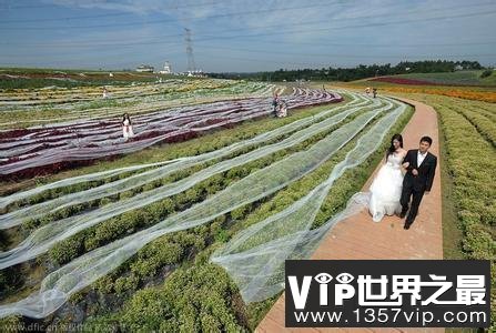 世界上最长的婚纱，第一是中国成都的4100米婚纱！