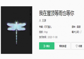 王源《我在屋顶等雨也等你》歌词是什么 《我在屋顶等雨也等你》歌曲歌词介绍