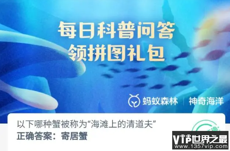 以下哪种蟹被称为海滩上的清道夫 神奇海洋12月6日答案