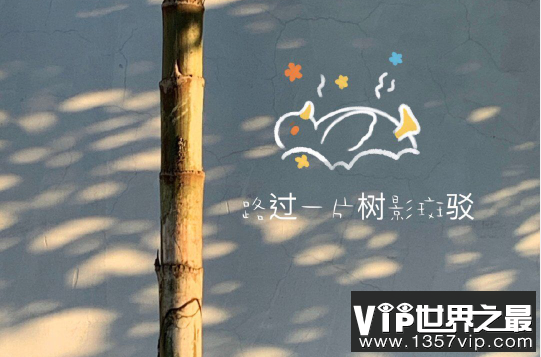 大好时光的唯美句子
