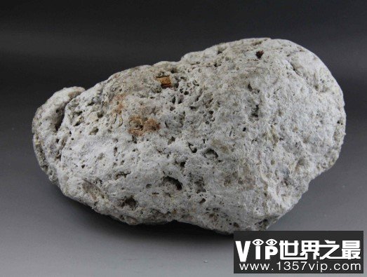世界最贵的定香剂，价值600万元的抹香鲸粪便