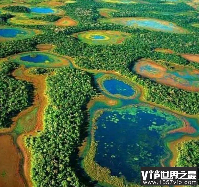 世界最大的湿地，面积达2500万公顷
