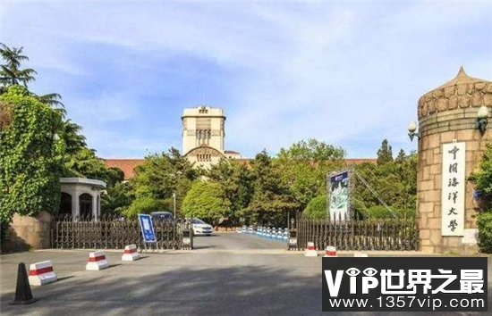 中国十大最美大学，武大樱花摘得桂冠！