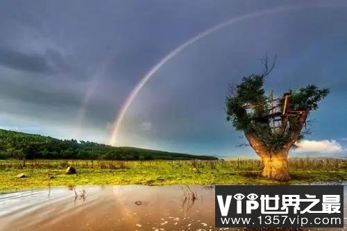 朋友圈2023晚安的唯美句子