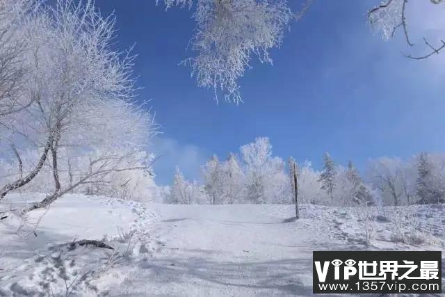 关于初雪的唯美文字