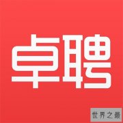 中国十大猎头公司排名，智联卓聘最优秀