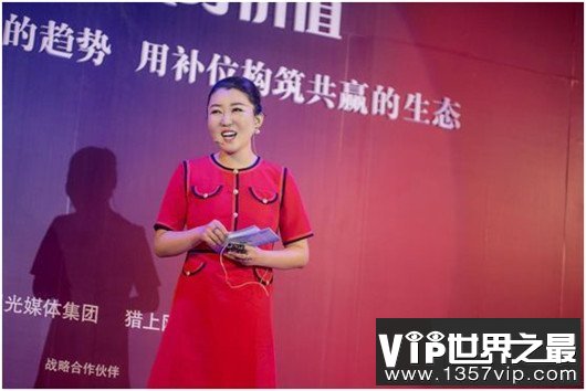 中国十大猎头公司排名，智联卓聘最优秀