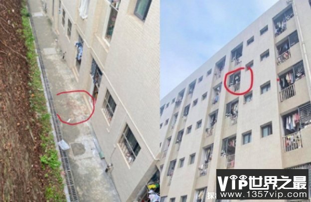 重庆大一学生校内坠亡 曾与室友发生争执（学生跳楼）