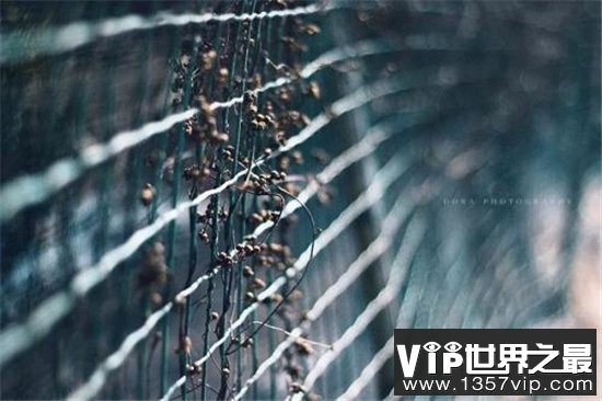 世界上最大的物品，那种“大”你绝对想象不到！
